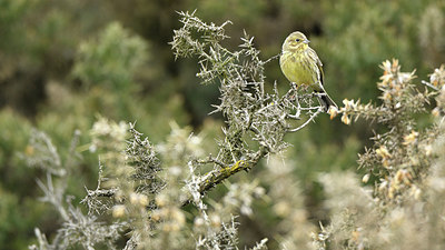 BUITEN BEELD Foto: 313260
