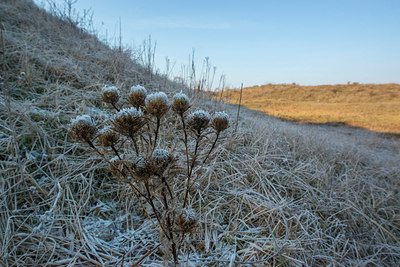BUITEN BEELD Foto: 313292
