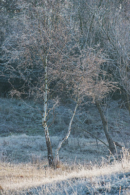BUITEN BEELD Foto: 313299
