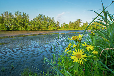 BUITEN BEELD Foto: 313340