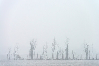 BUITEN BEELD Foto: 313383