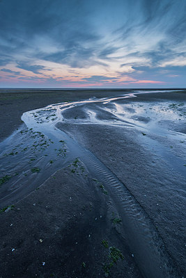 BUITEN BEELD Foto: 313407