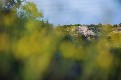 BUITEN BEELD Foto: 313413