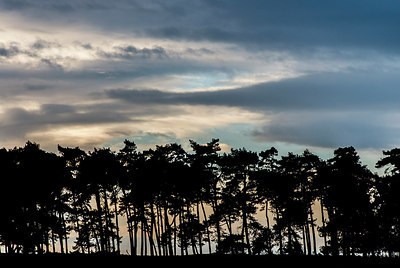 BUITEN BEELD Foto: 313419