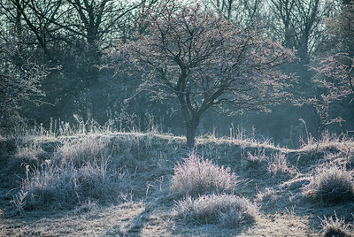 BUITEN BEELD Foto: 313428