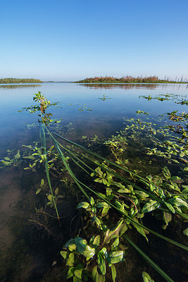 BUITEN BEELD Foto: 313441