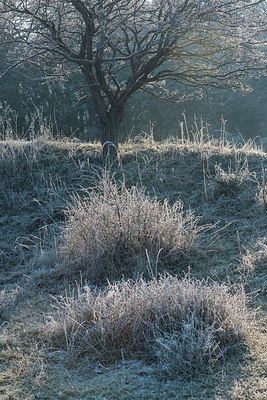 BUITEN BEELD Foto: 313450