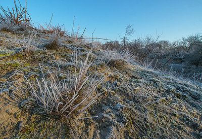 BUITEN BEELD Foto: 313471