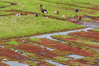 BUITEN BEELD Foto: 313536