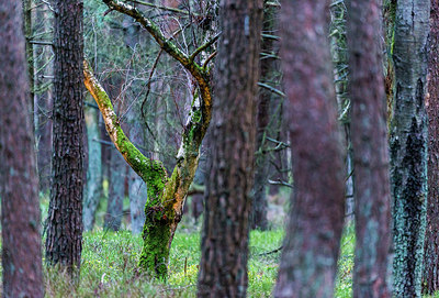 BUITEN BEELD Foto: 313542