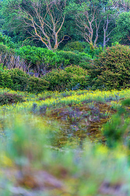 BUITEN BEELD Foto: 313568