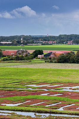 BUITEN BEELD Foto: 313569