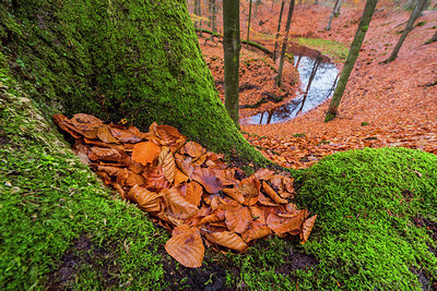 BUITEN BEELD Foto: 313570