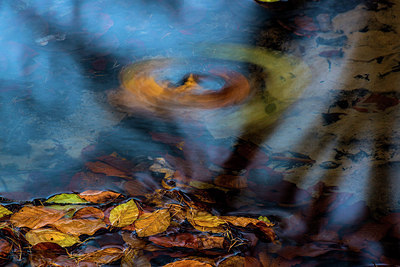 BUITEN BEELD Foto: 313574