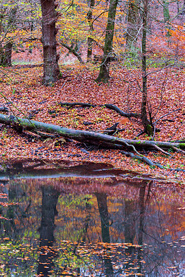 BUITEN BEELD Foto: 313580