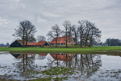 BUITEN BEELD Foto: 313629