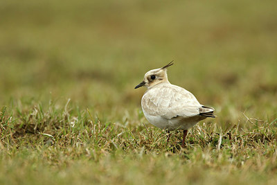 BUITEN BEELD Foto: 313636