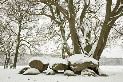 BUITEN BEELD Foto: 313653