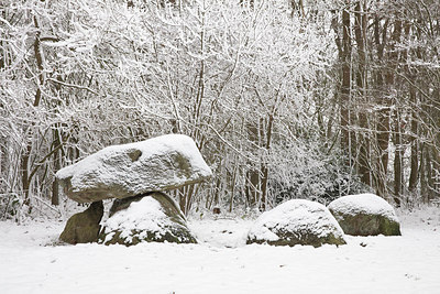 BUITEN BEELD Foto: 313673