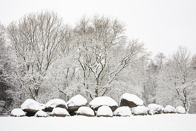 BUITEN BEELD Foto: 313676