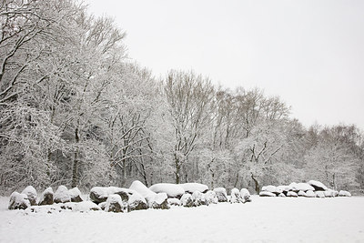 BUITEN BEELD Foto: 313679