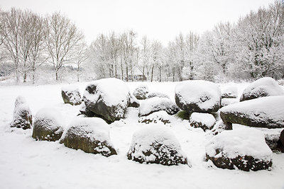 BUITEN BEELD Foto: 313682