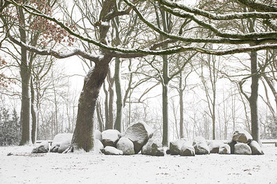 BUITEN BEELD Foto: 313684