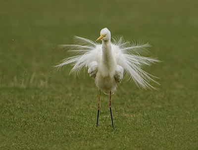 BUITEN BEELD Foto: 313699