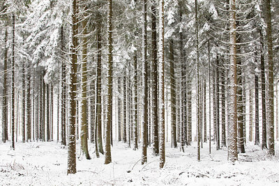 BUITEN BEELD Foto: 313701
