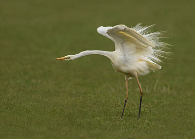 BUITEN BEELD Foto: 313718