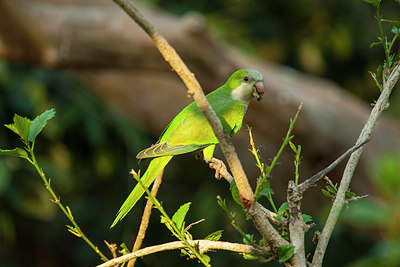 BUITEN BEELD Foto: 313731