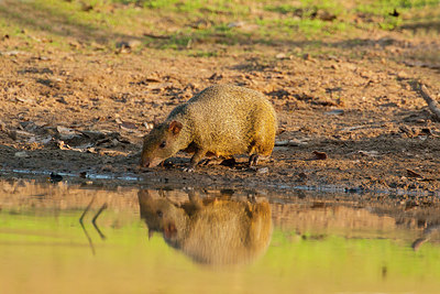 BUITEN BEELD Foto: 313768