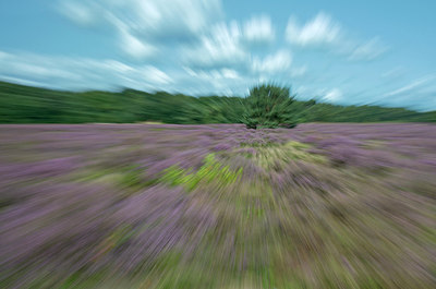 BUITEN BEELD Foto: 313865