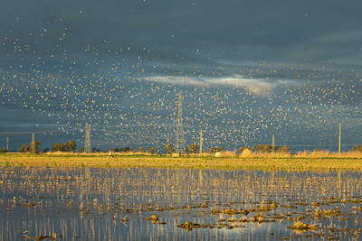 BUITEN BEELD Foto: 313891