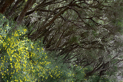 BUITEN BEELD Foto: 313952