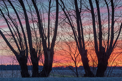 BUITEN BEELD Foto: 314197