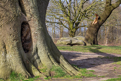 BUITEN BEELD Foto: 314216
