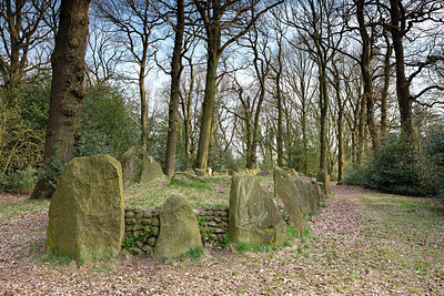 BUITEN BEELD Foto: 314242