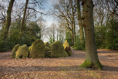 BUITEN BEELD Foto: 314245