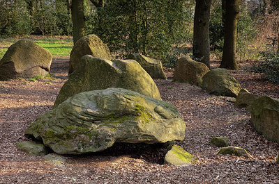 BUITEN BEELD Foto: 314247