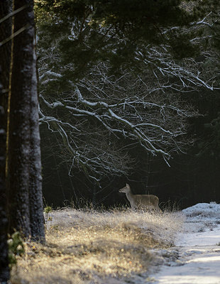 BUITEN BEELD Foto: 314271