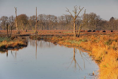 BUITEN BEELD Foto: 314289