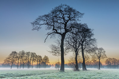 BUITEN BEELD Foto: 314304