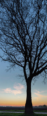 BUITEN BEELD Foto: 314437