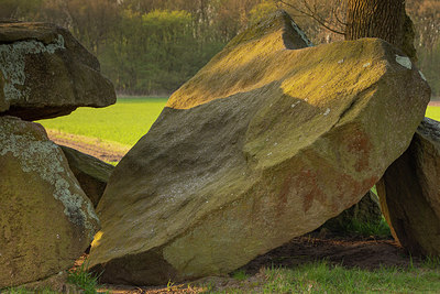 BUITEN BEELD Foto: 314443