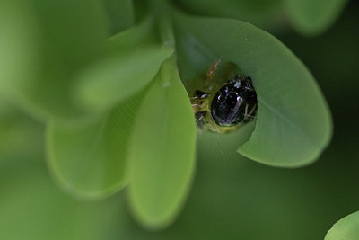 BUITEN BEELD Foto: 314444