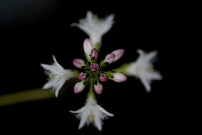 BUITEN BEELD Foto: 314462