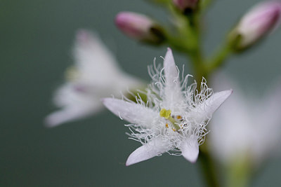 BUITEN BEELD Foto: 314464