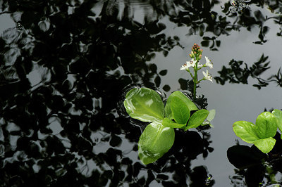 BUITEN BEELD Foto: 314491