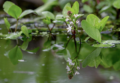 BUITEN BEELD Foto: 314493